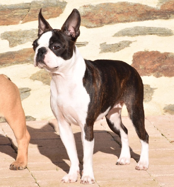 Liorenza de Milantosa