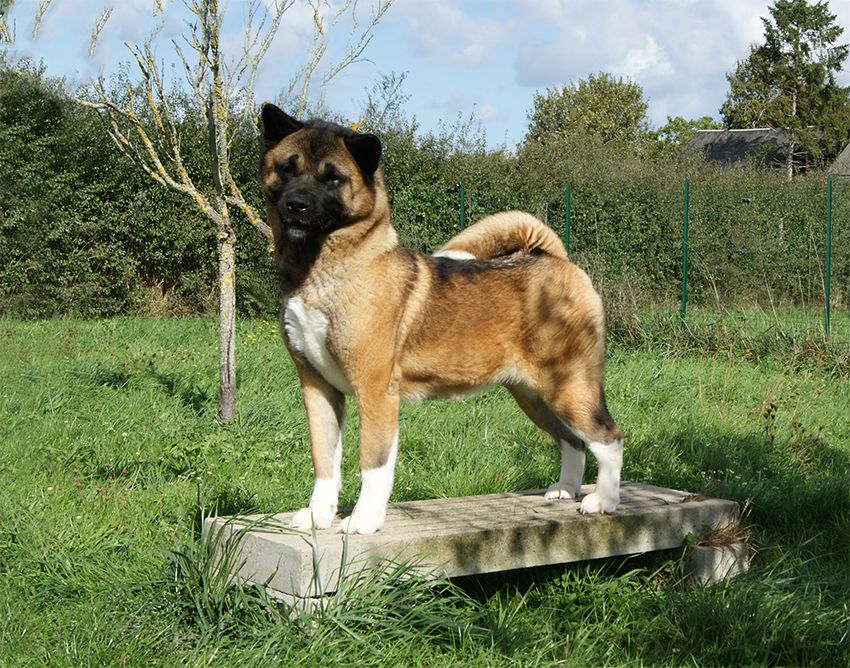 Trax rand park de Milantosa